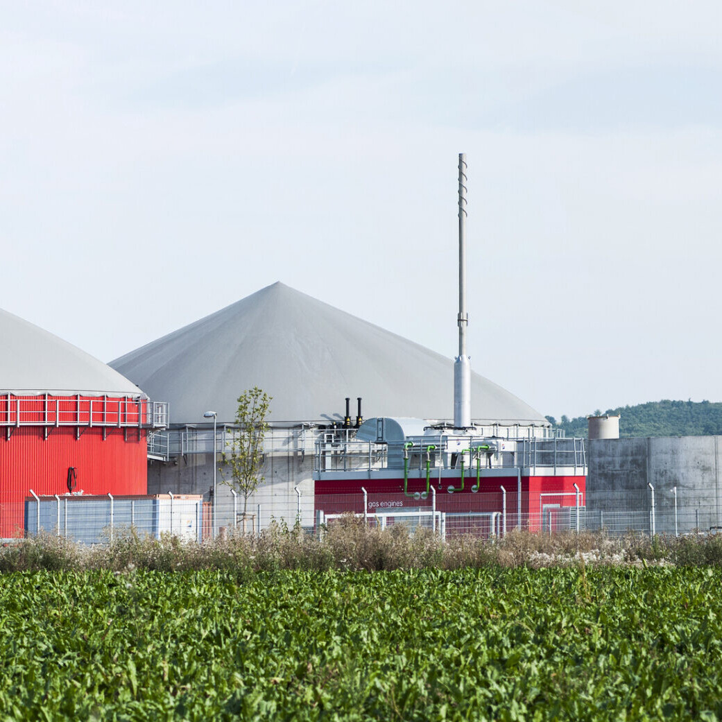 Bio fuel plant