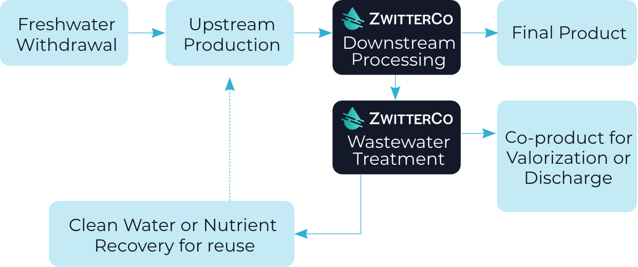 Bioprocessing ZwitterCo Process Chart