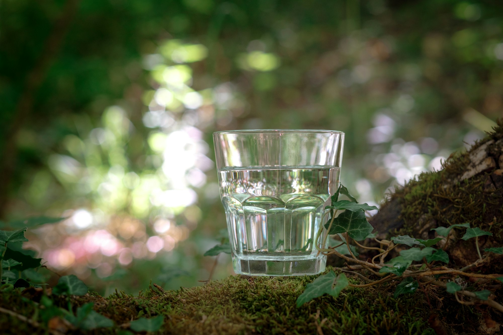 A glass of clean water, on the nature. Concept of a healthy lifestyle