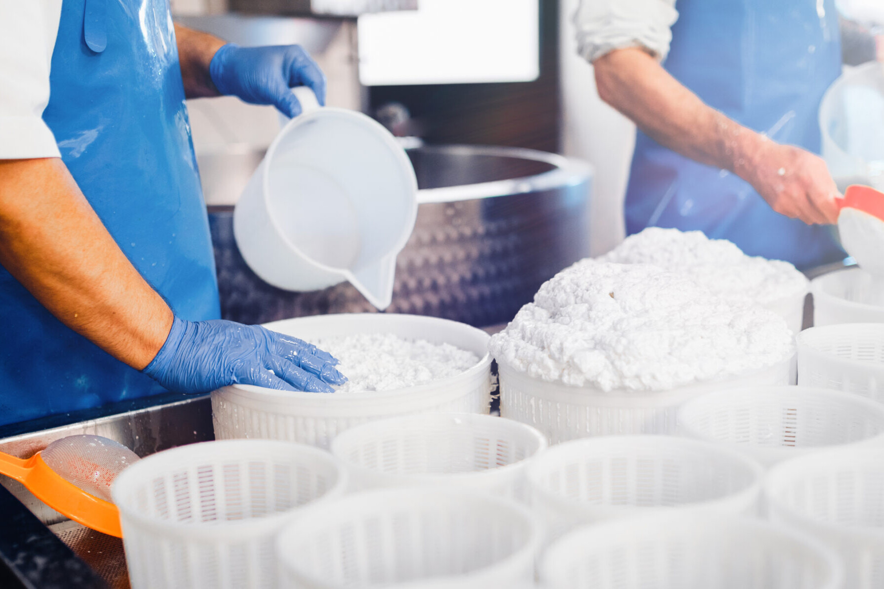 dairy processors, dairy processing