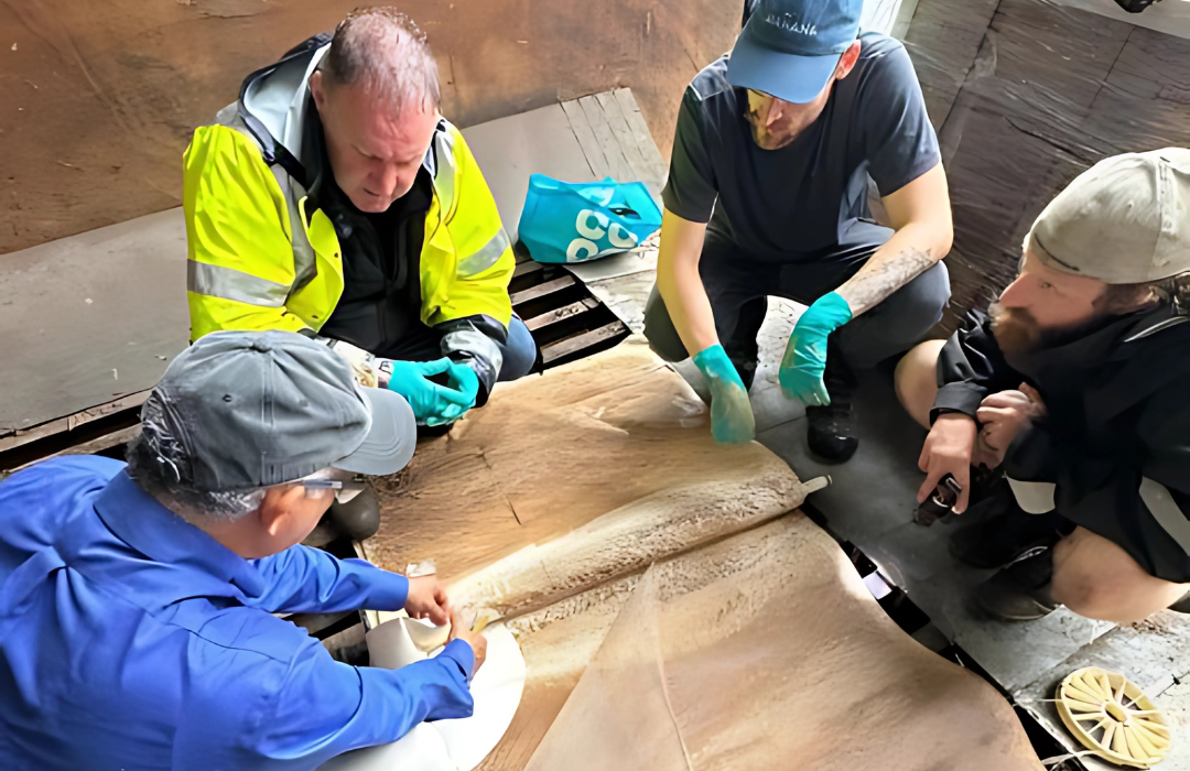 Observing fouled and autopsied membrane element