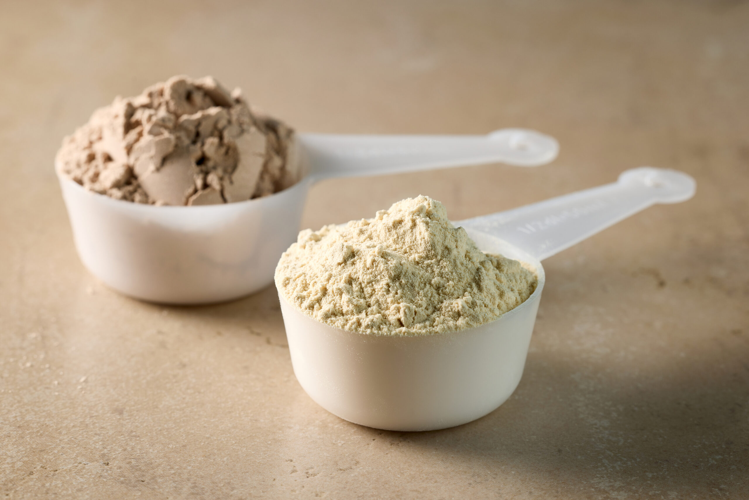 dairy protein powder in scoops. dry mixture for preparation of sportin