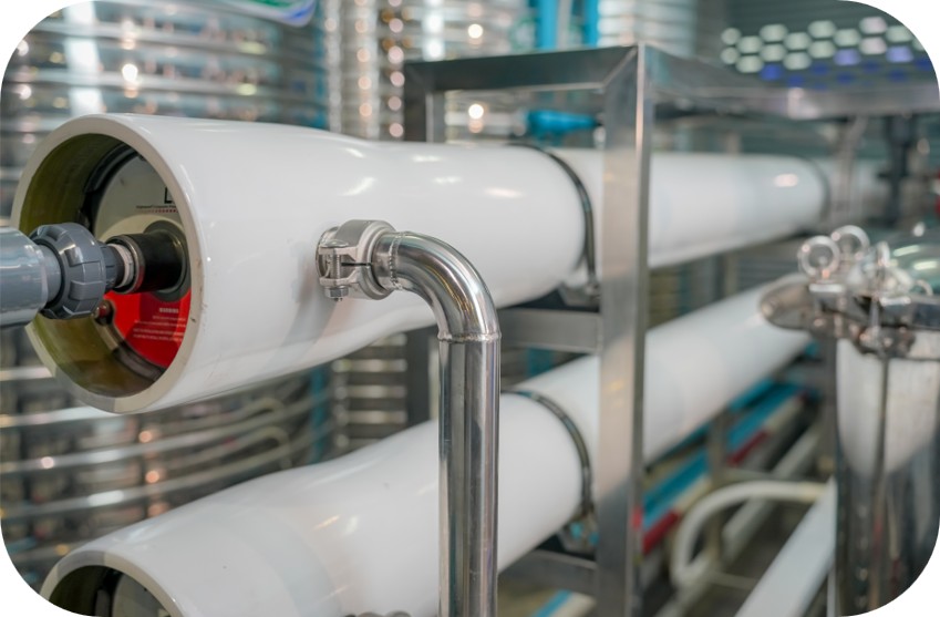 What Drives Membrane Replacement Frequency in Dairy Plants?
