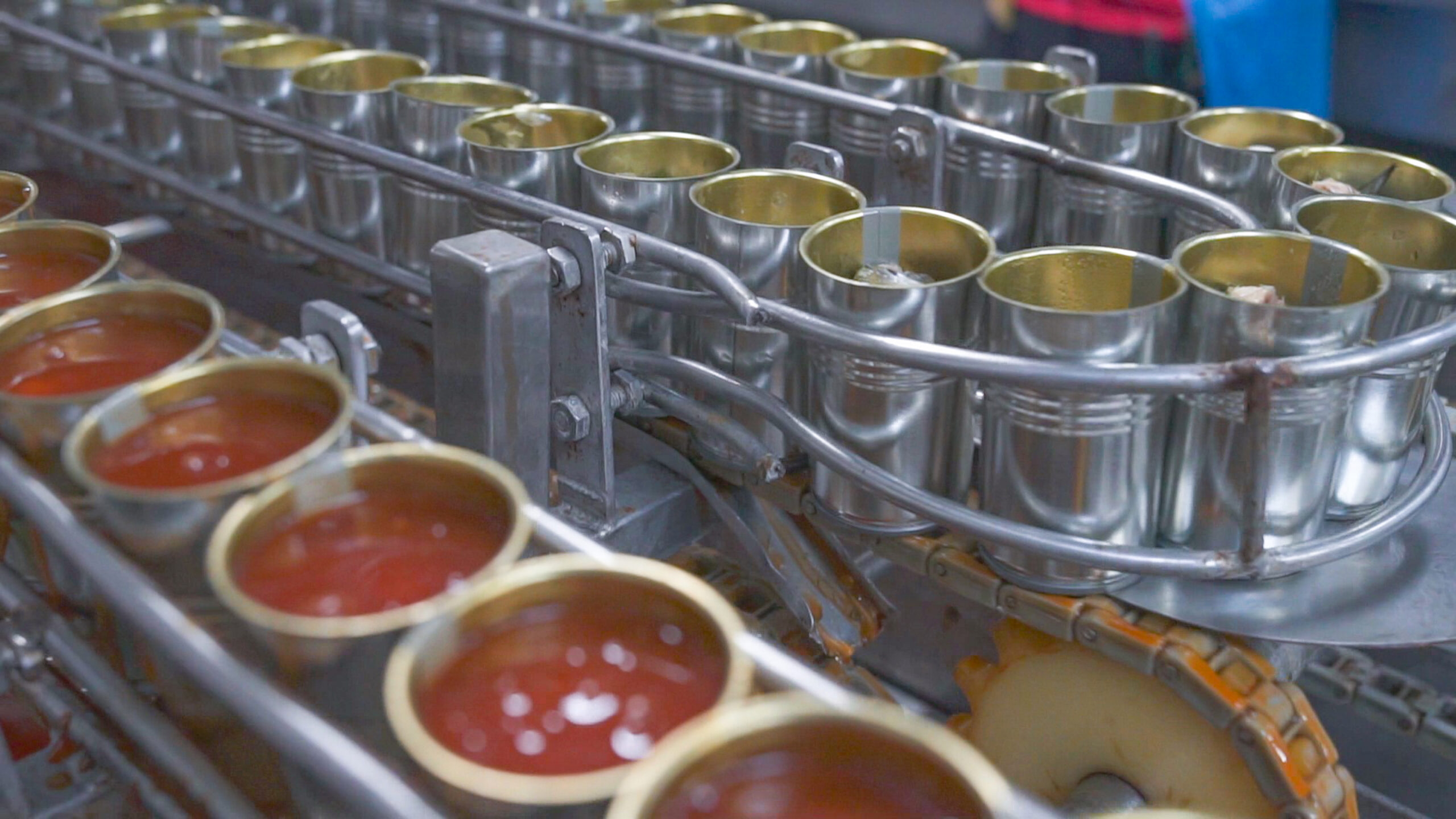 produce wastewater, peak season, tomato processing, canning,Canned fish factory. Food industry. Many can of sardines on a c